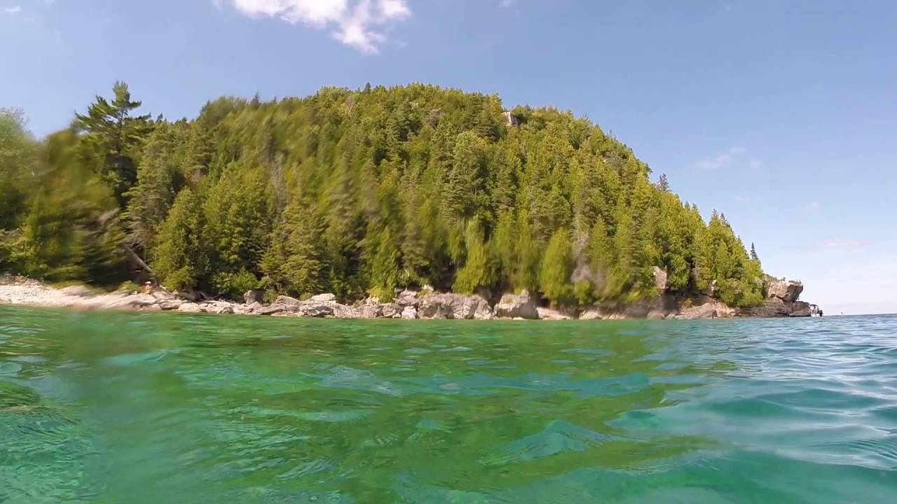 Freshwater Mermaids