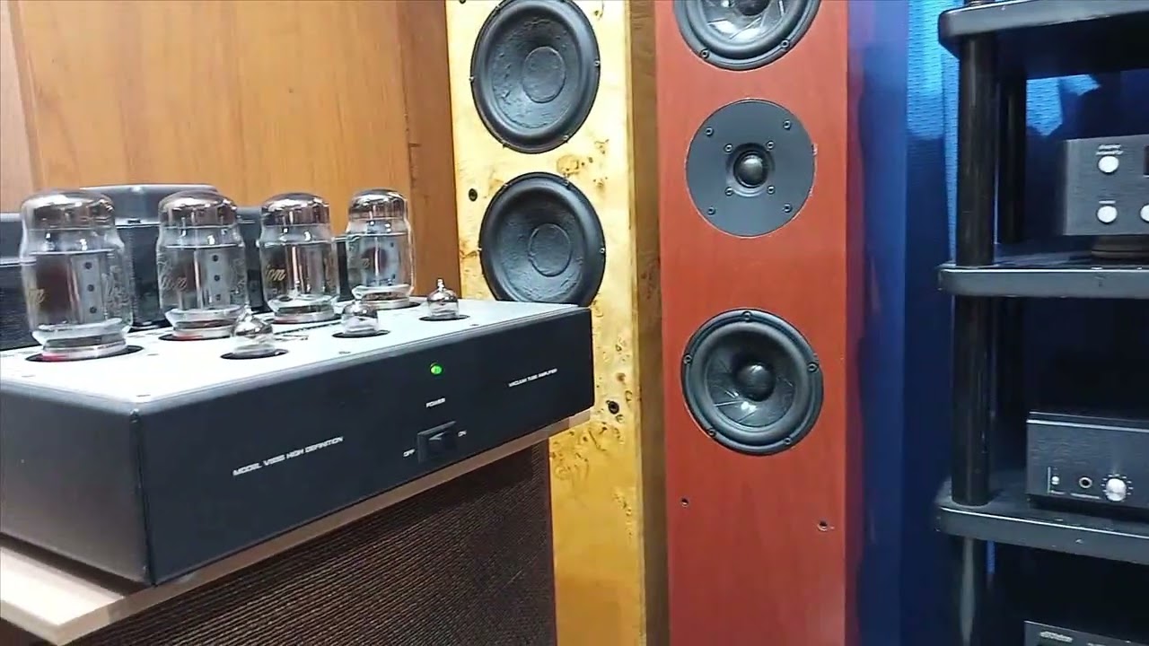 lungyim~Mark Levinson No.380S preamplifier-Audio Research VS55 Power Amp ( 2 )