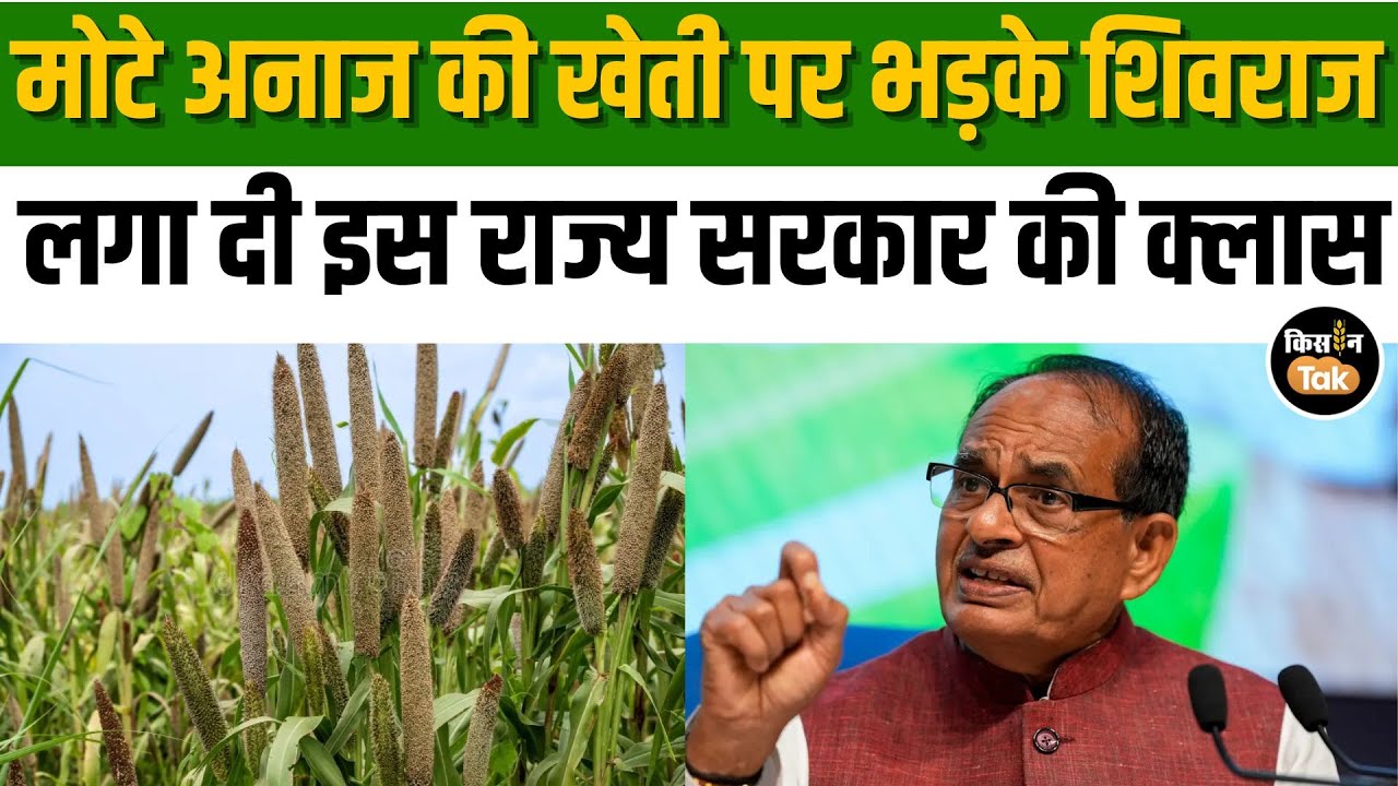 Shivraj Singh ने मोटे अनाज को लेकर राज्य सरकारों को घेरा, कही ये बात | #ShriAnna #millets
