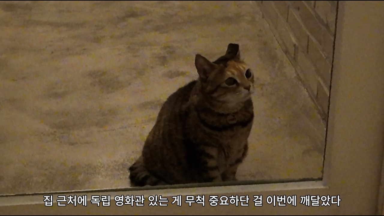 집 근처에 독립 영화관이 생겼다