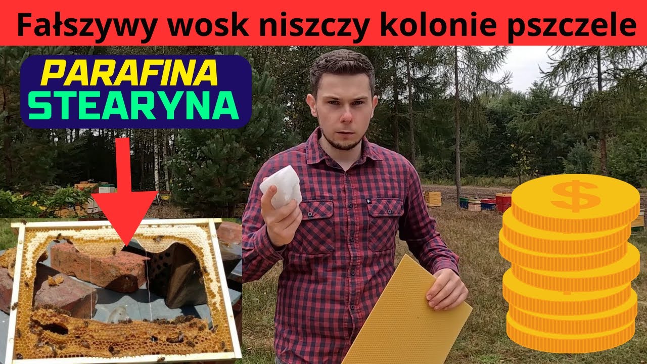 Biznes na fałszowaniu wosku pszczelego! Dlaczego cierpią pszczelarze?