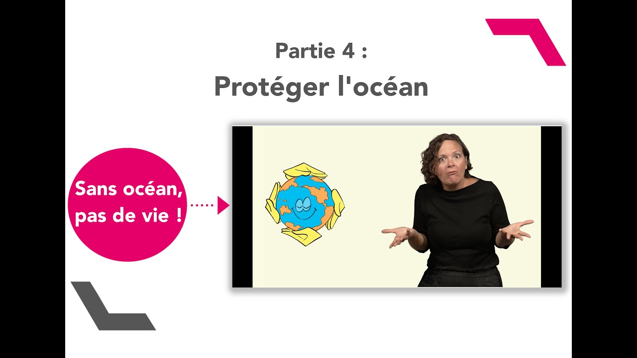 Sans océan, pas de vie ! Partie 4 : Protéger l'océan