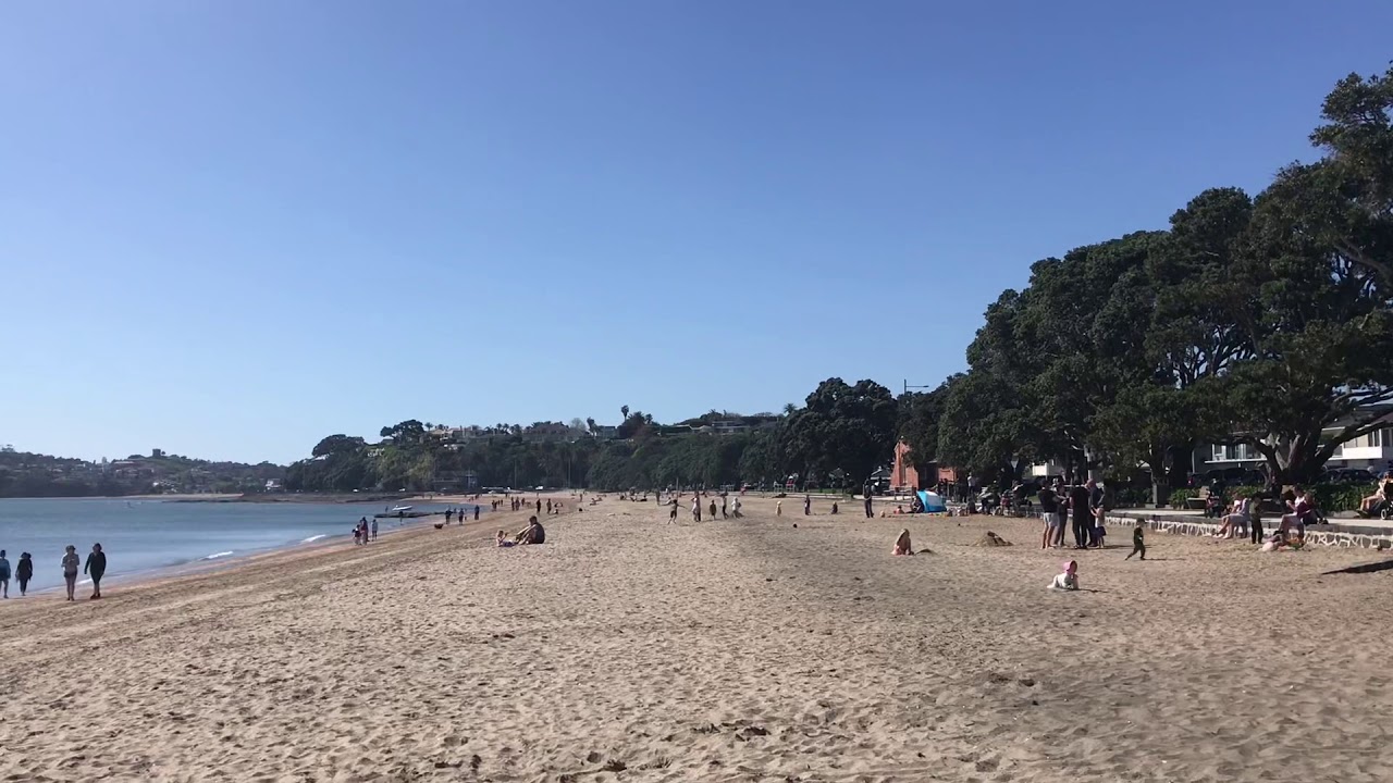 Spring in Auckland City: Kohimarama