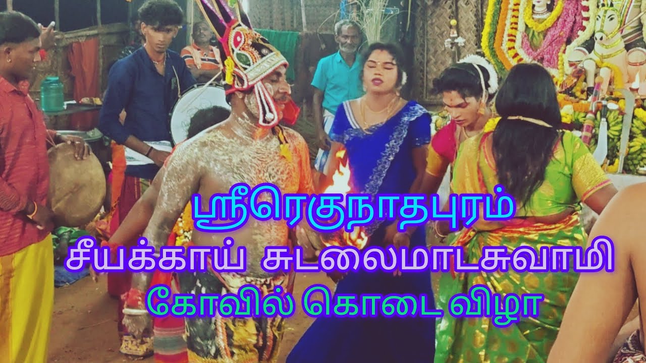 ஸ்ரீரெகுநாதபுரம் சீயக்காய் சுடலைமாட சாமி கோவில் கொடை விழா#தங்கராஜ் அண்ணா மகுடம்#கிராமத்து வழிபாடு.