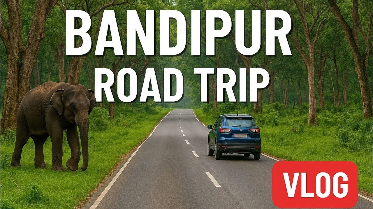 Bandipur Forest Drive | Wildlife|Scenic Roads| Jungle Experience 🌿🐅🚙