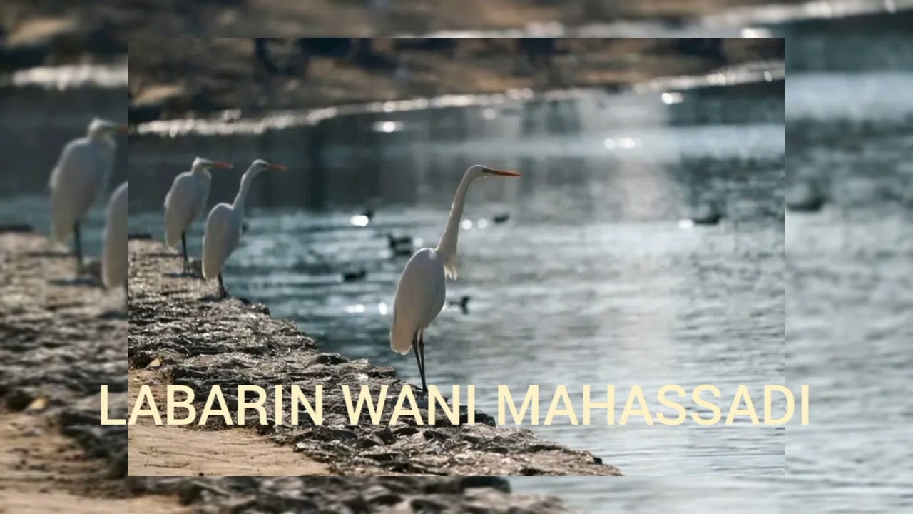 YADDA HASSADA TAKAI WANI MUTUM HALAKA #hausa 