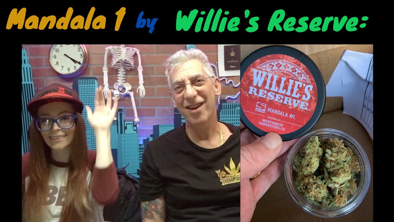 Willies Reserve Mandala No  1 Cannabis Strain Review