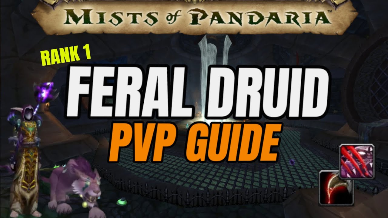 Feral Druid PvP Guide | MoP Classic