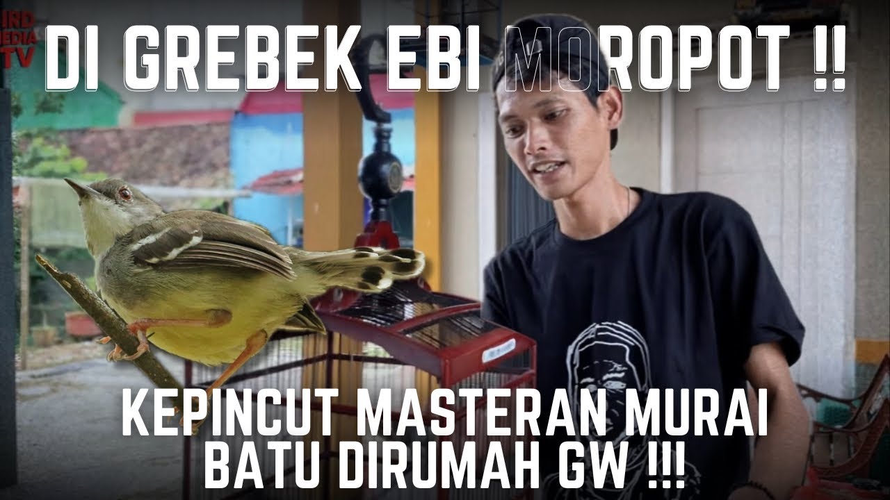 MAKSA PENGEN CIBLEK !! Ebi wirawan tiba tiba mampir kerumah sebelum gantang si KOMIK