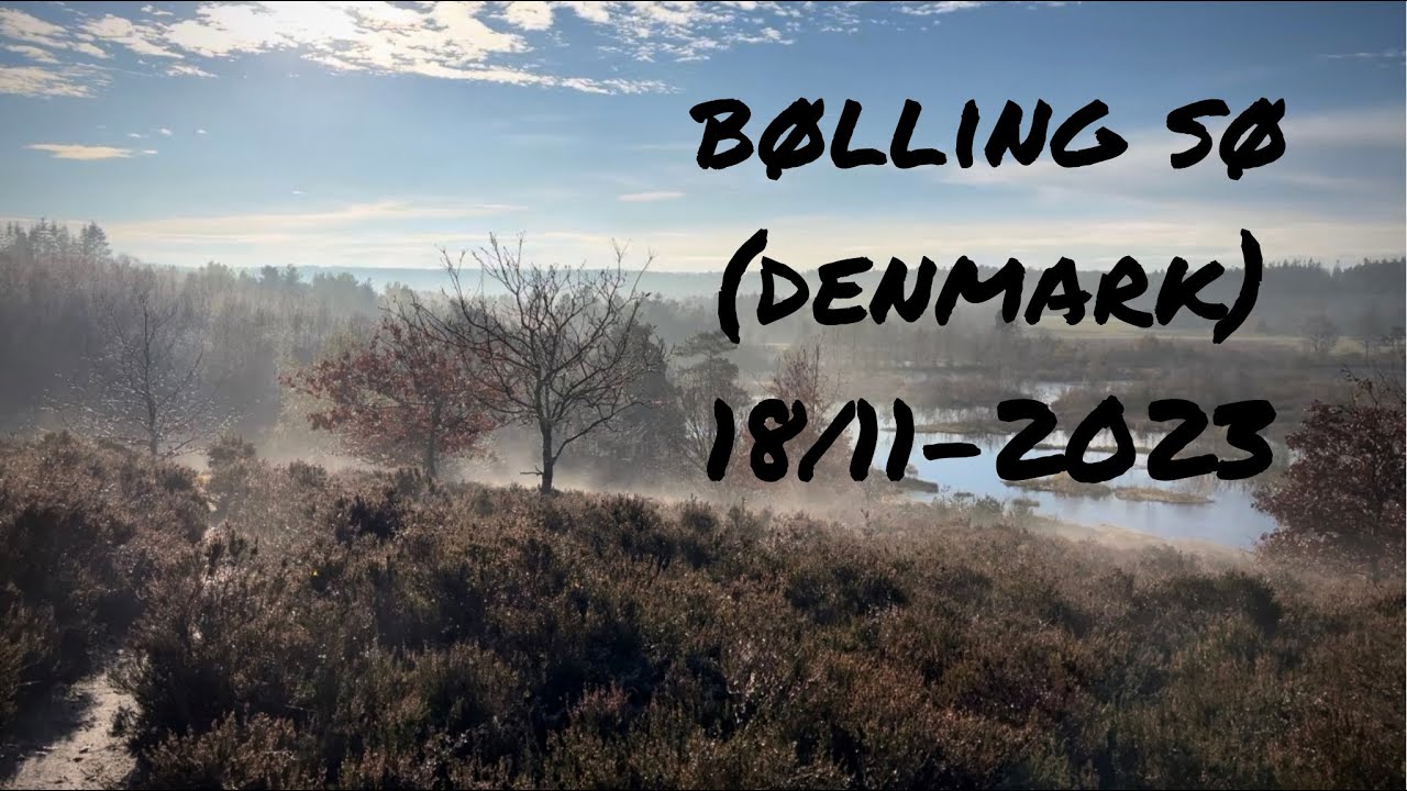 Scenic Lake Near Silkeborg | Bølling Sø, Denmark