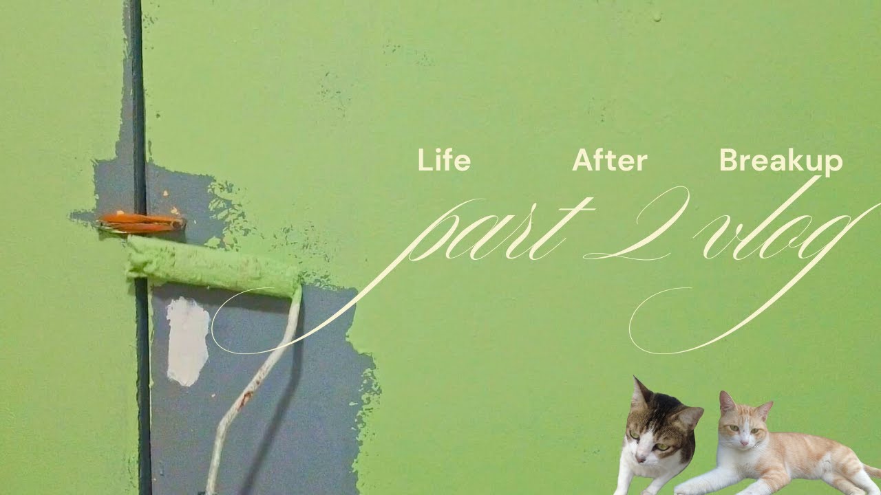 PART 2: Life After a Breakup Vlog