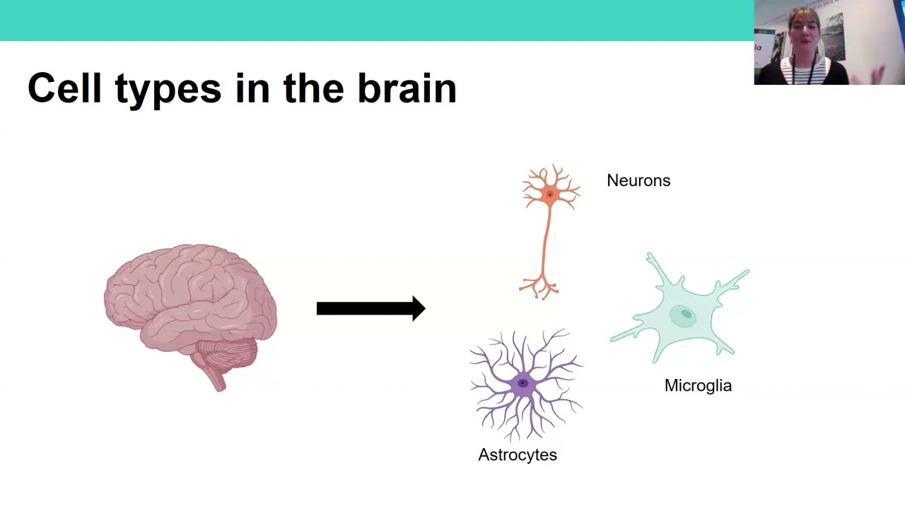 fFTD Annual Seminar - 17th June 2024