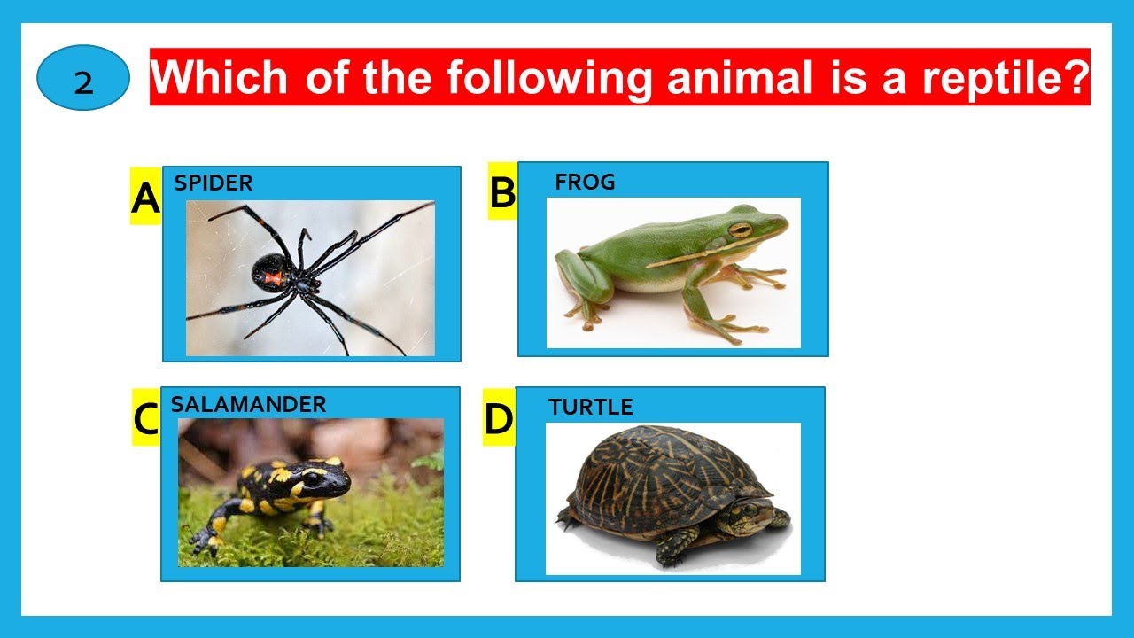 Kids Quiz on Classification of Animals || part 32 | Types of Animals | Animal Groups || Science Quiz