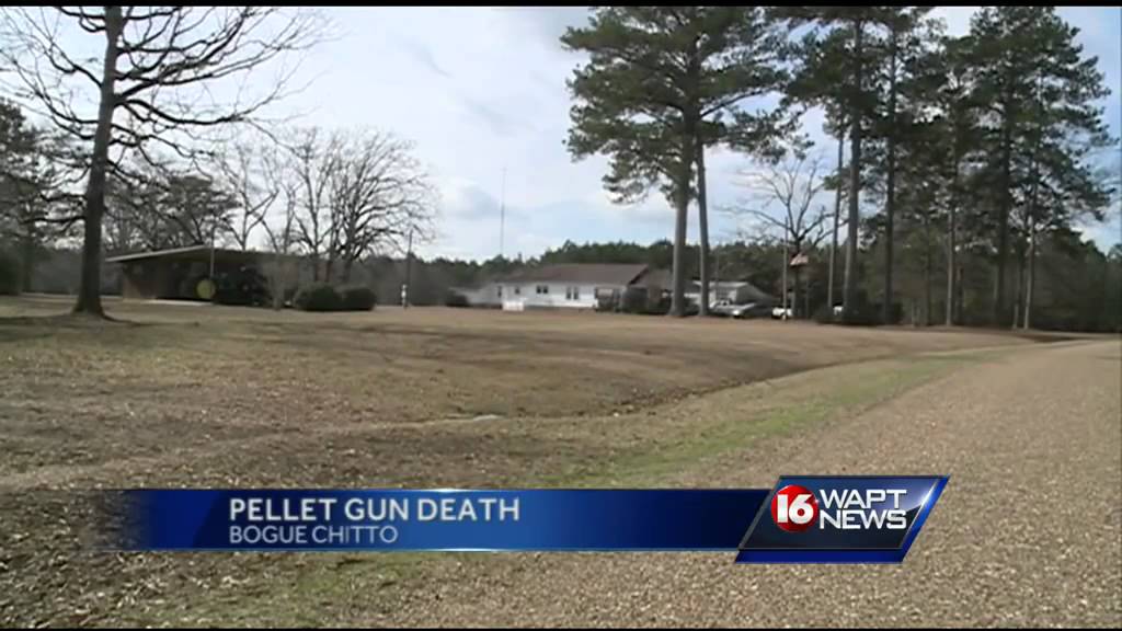 Girl shot, killed with pellet gun