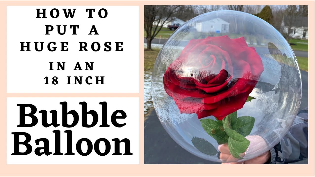 How to stuff a Rose in an 18 inch Bubble Balloon/How to tie a Bubble Balloon/Rose inside a Balloon