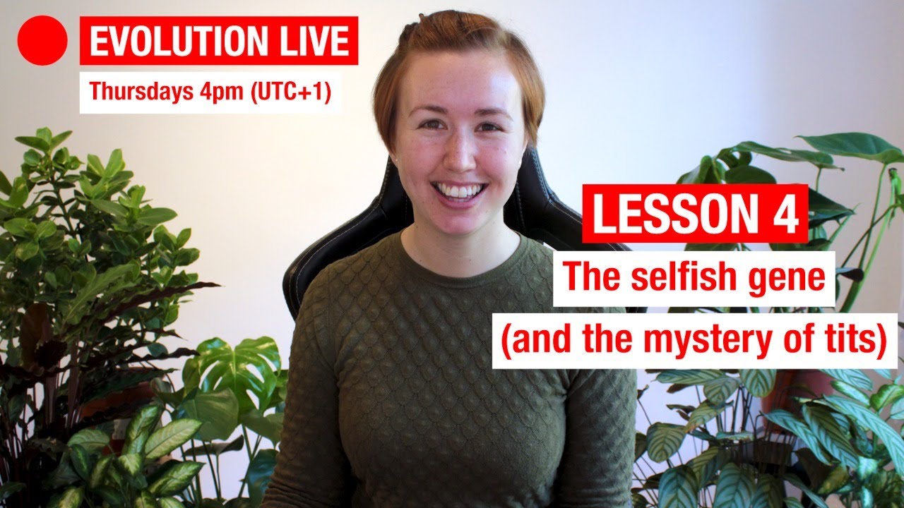 Evolution Live: The selfish gene (and the mystery of tits)