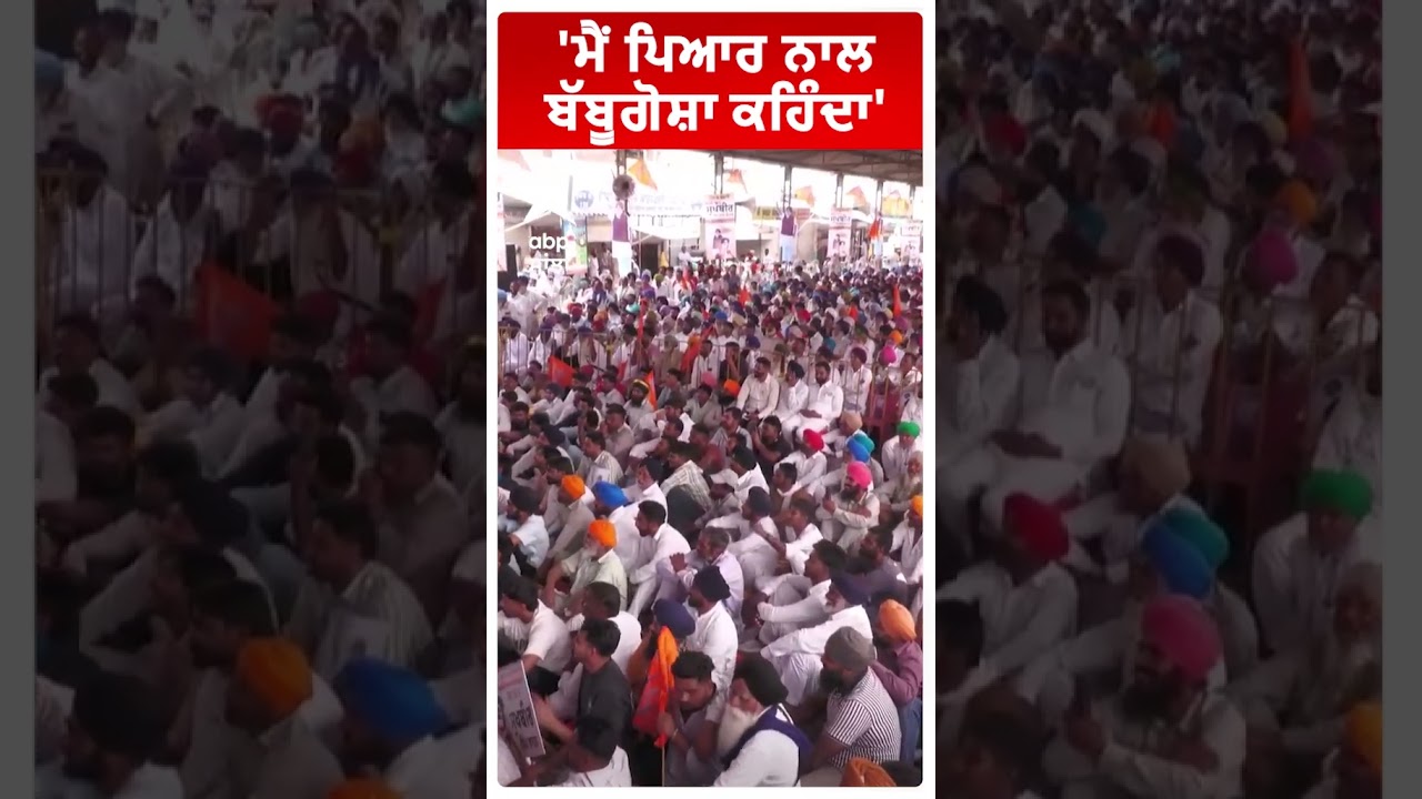Bikram Majithia on Cm Mann |'ਮੈਂ ਪਿਆਰ ਨਾਲ ਬੱਬੂਗੋਸ਼ਾ ਕਹਿੰਦਾ'| Punjab news | Abp Sanjha | Shorts