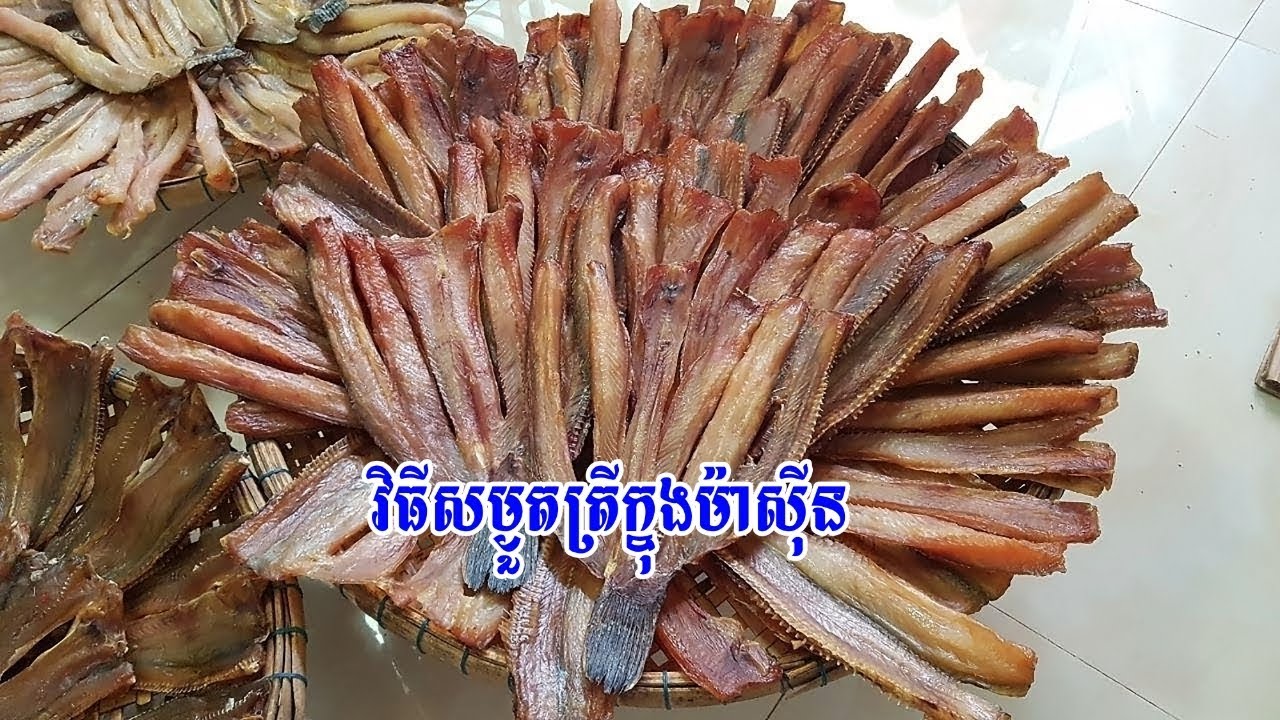 How to dry a fish in machine | Homemade dried fish | camdryfish EP03