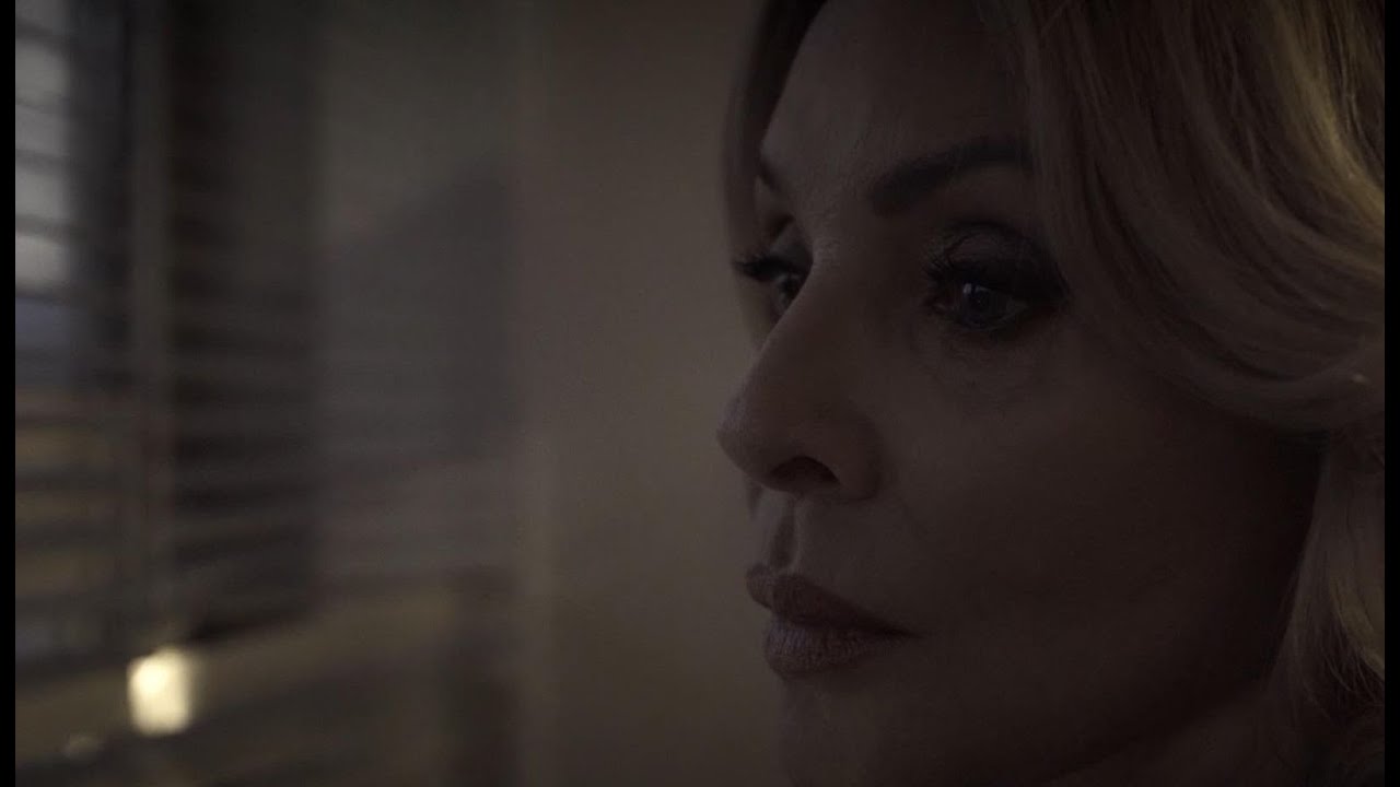 Zdenka Studenková - sila a krehkosť (2024)