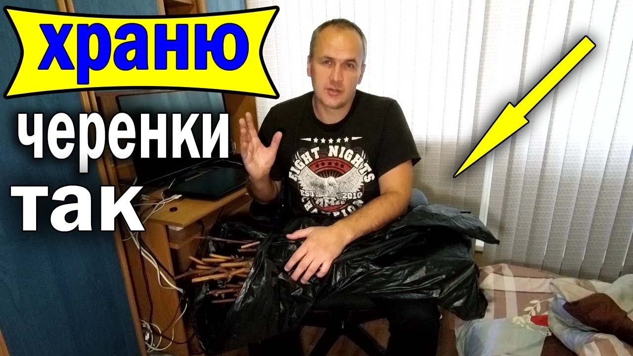 🔴🔴Простейшее Хранение Черенков Винограда зимой. Виноград.