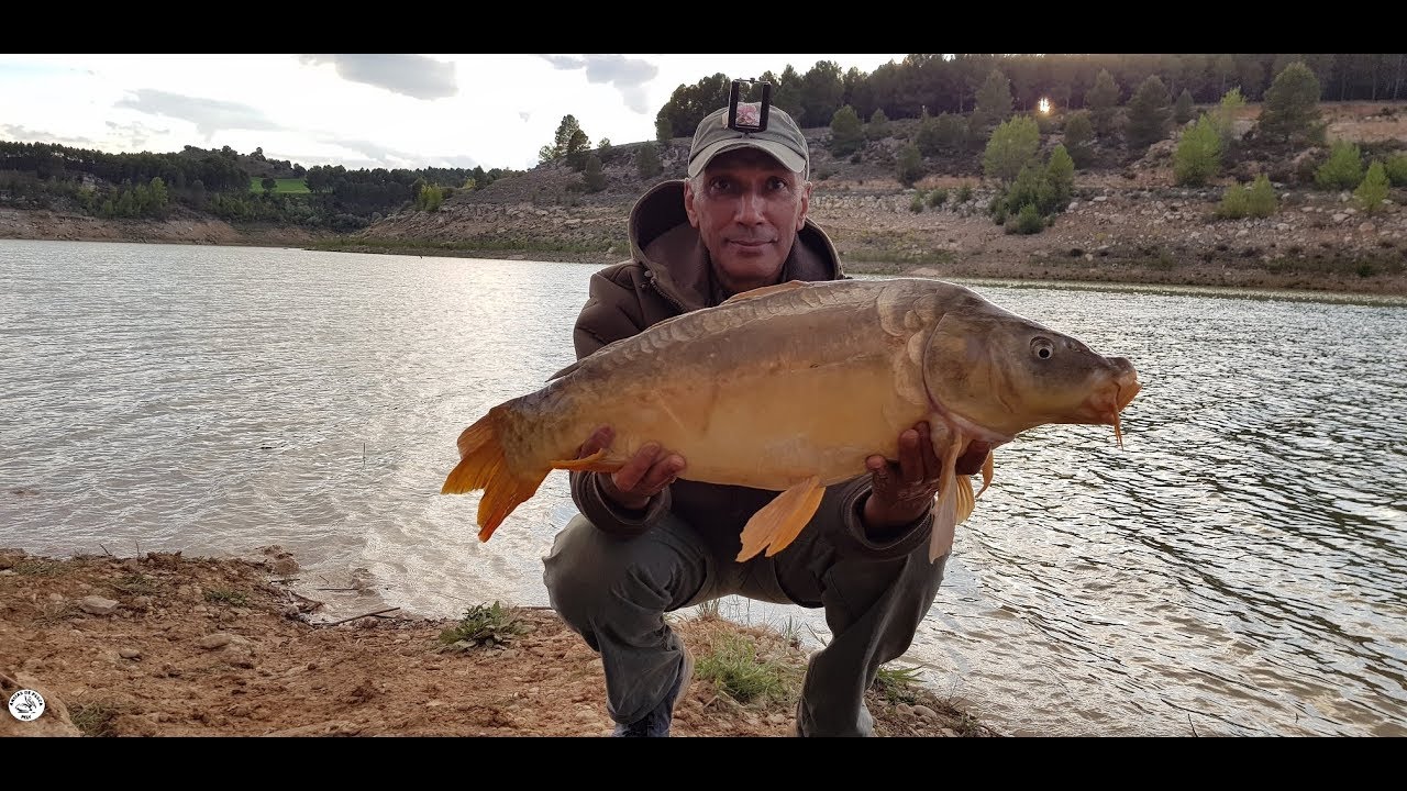 CARPFISHING EN BUENDÍA