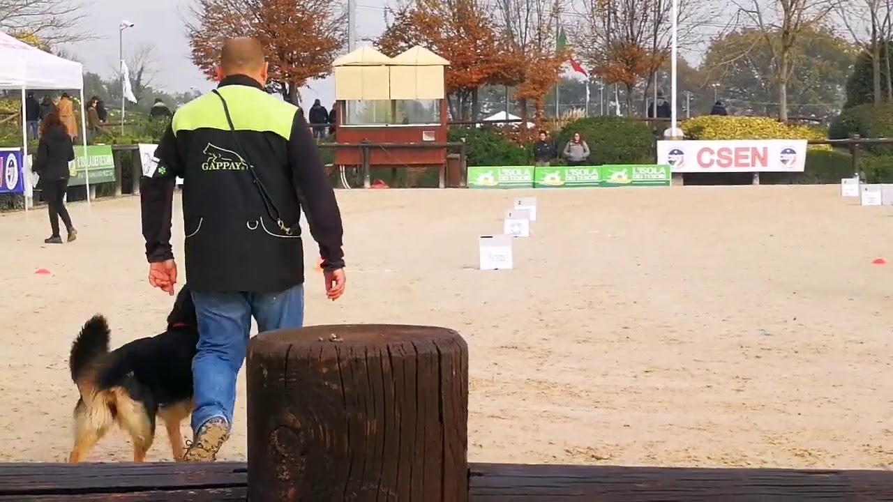 Campione Italiano 2019 Rally-obedience G1