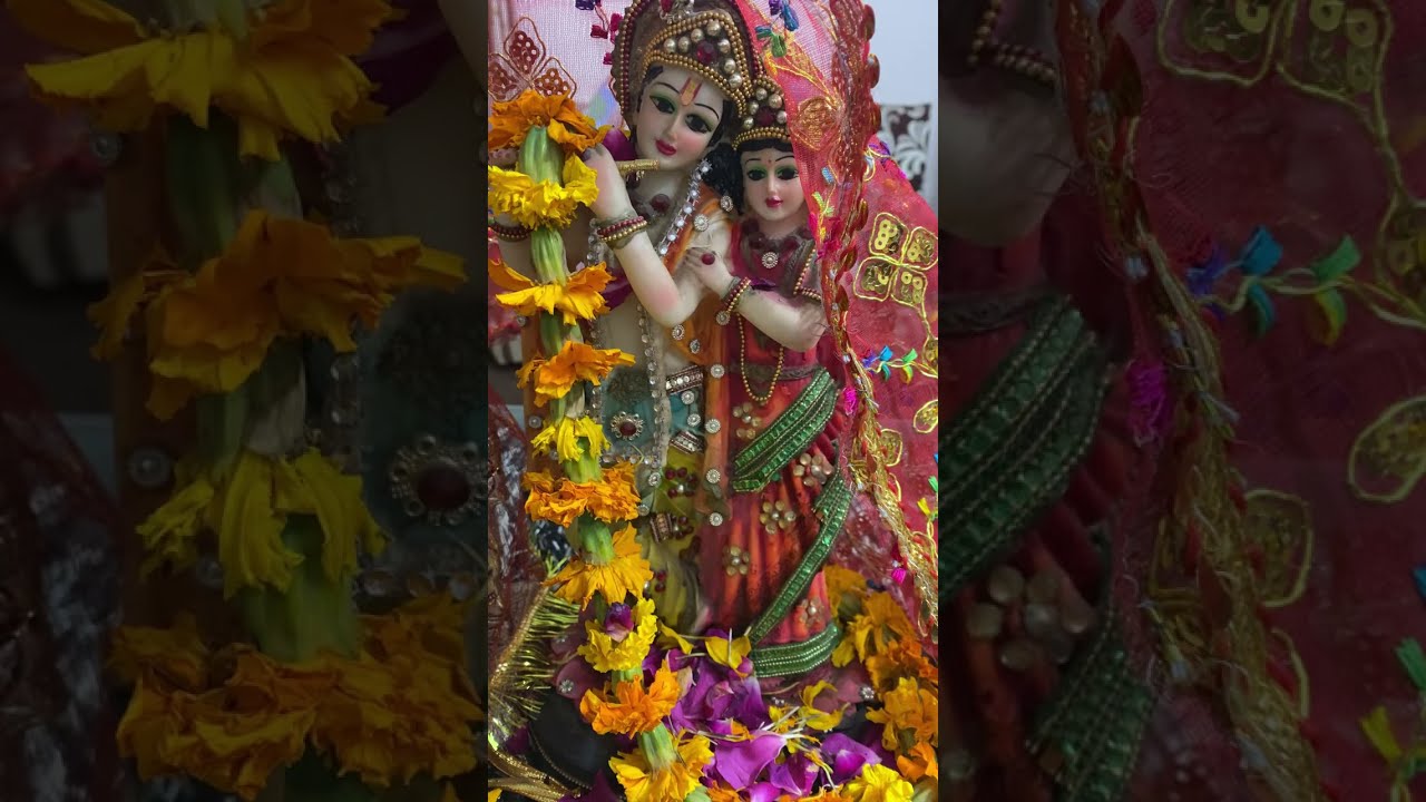 साईं कृपा  लाइव है! Good evening everyone 🤗🙏आपका स्वागत है बारम्बार 🙏🤗❤️🧿
