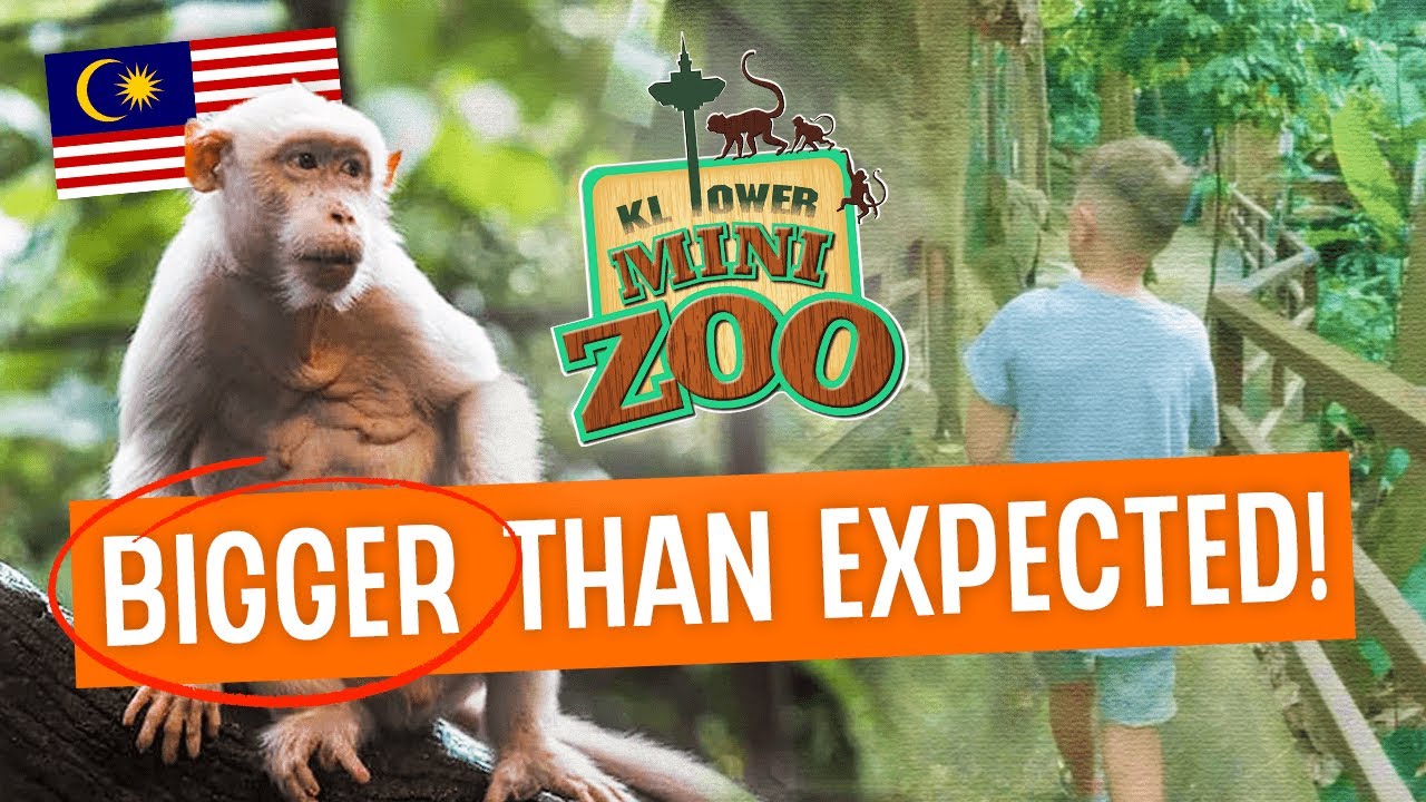 If you have KIDS, you NEED to visit this PLACE! 🇲🇾 | KL Tower Mini Zoo