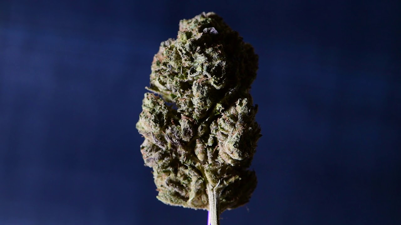 purple nepal side light