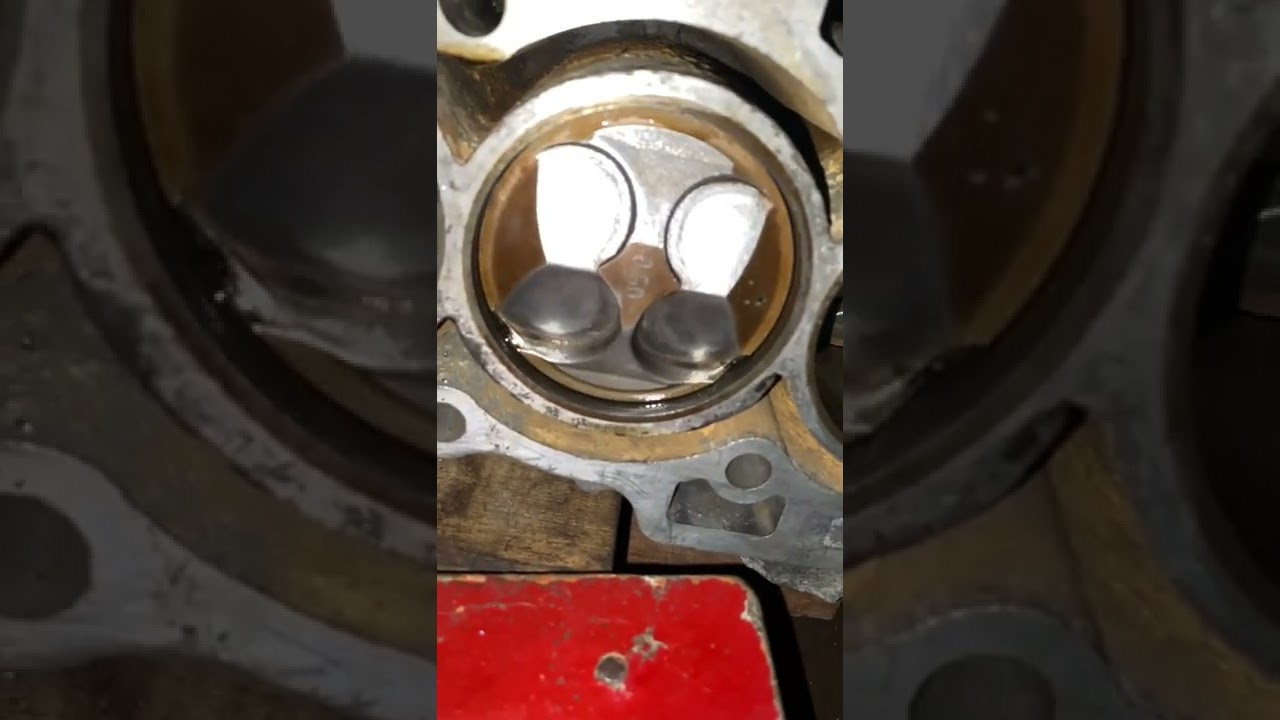 Zebra Piston Jenong