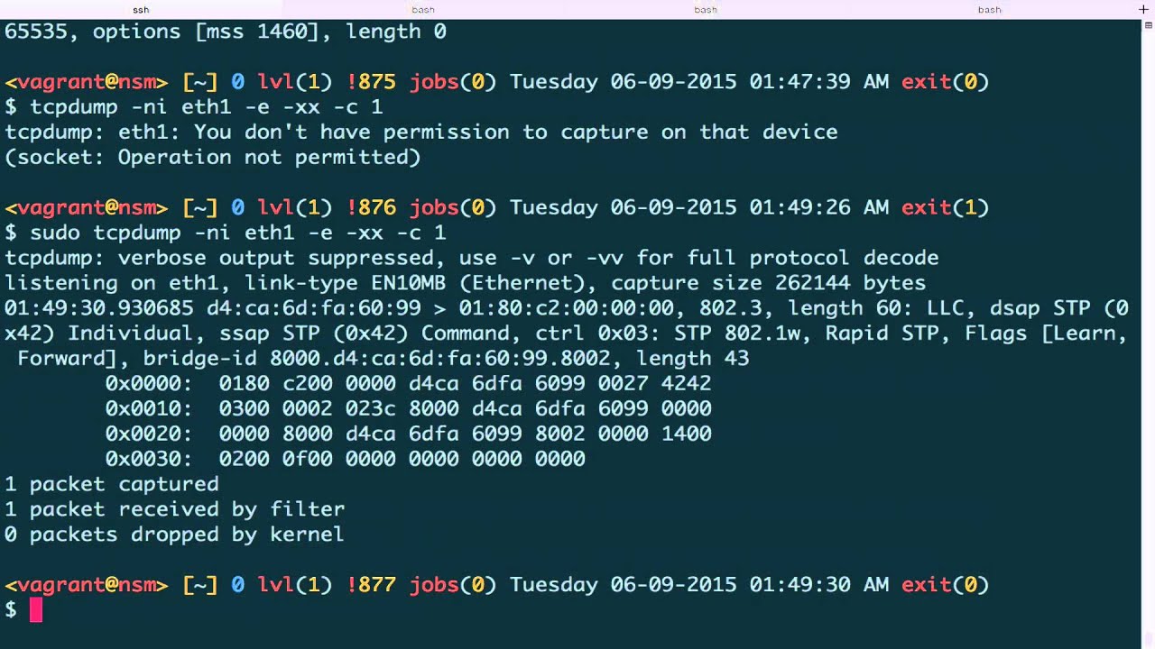 Tcpdump Advanced 1 (Link Layer)