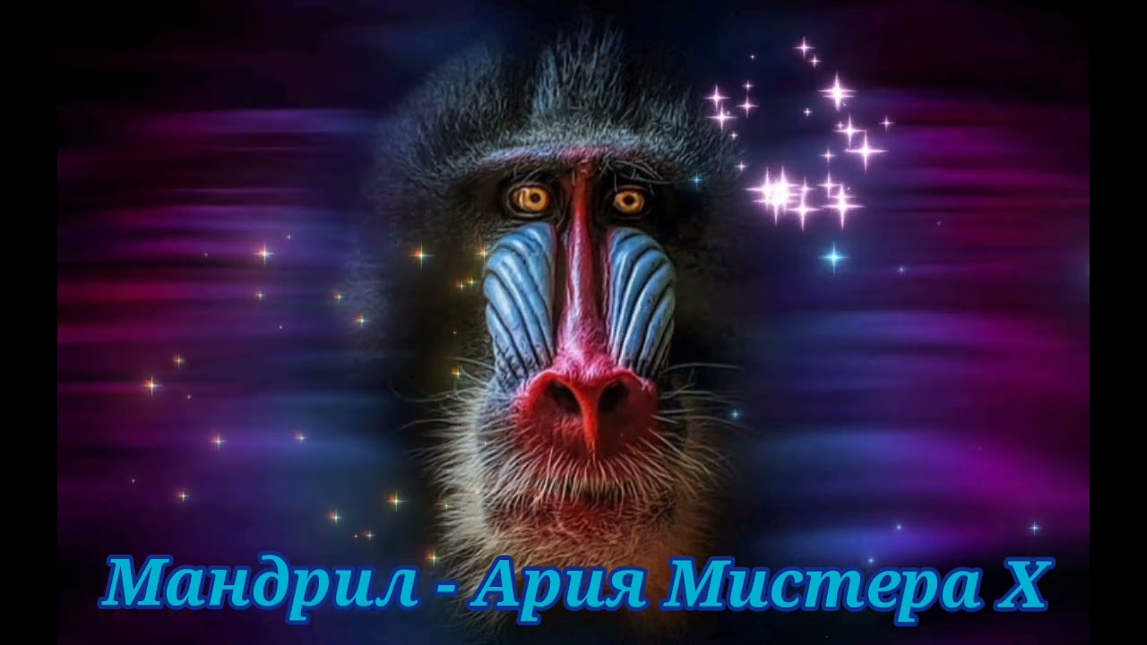 Мандрил - Ария Мистера X|Шоу 