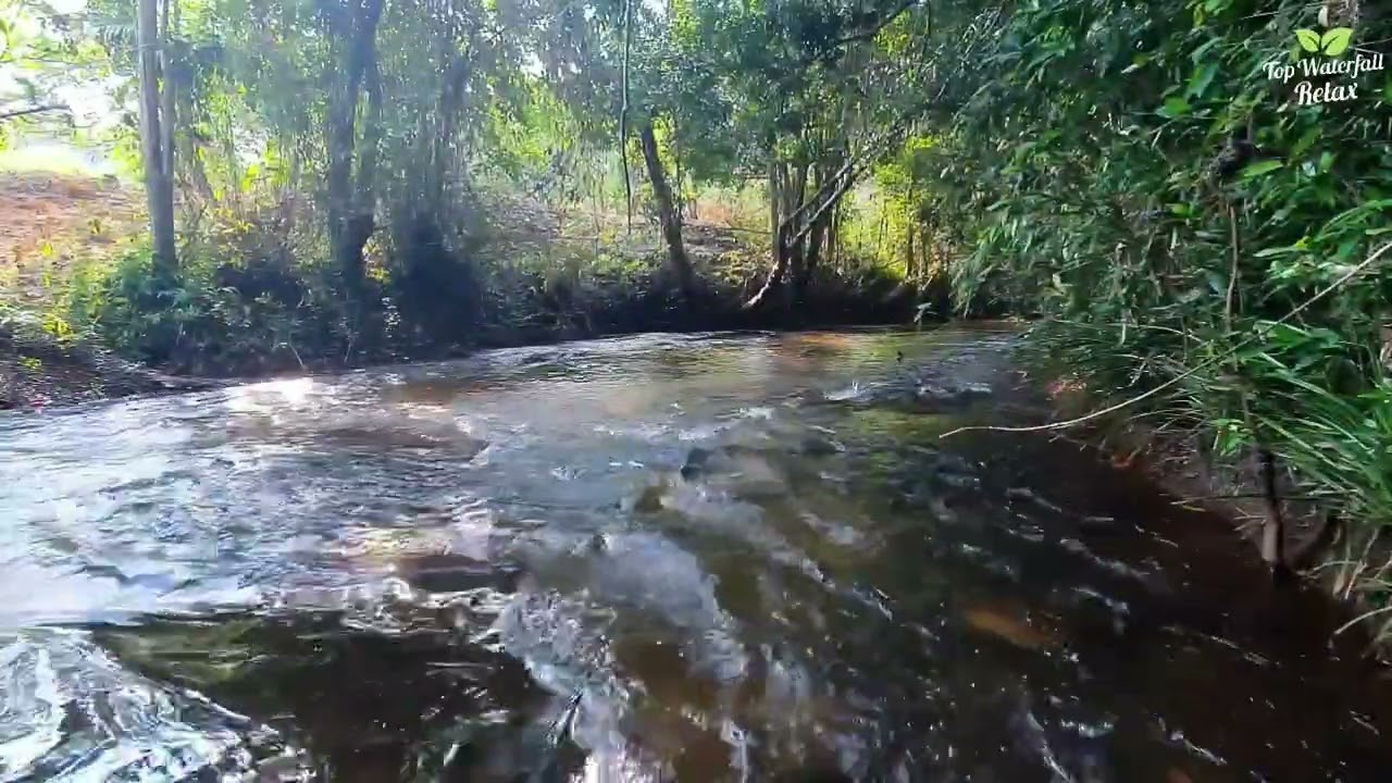 Episode 65: Kulen Mount_ River Flowing Music Sounds | White Noise Relaxing for Sleep and Soothing.