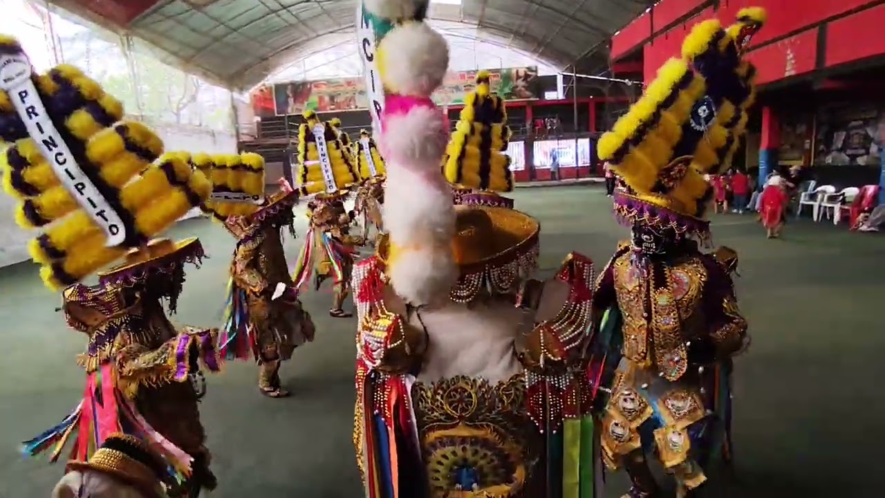Cuadrilla de Negritos Niño Jesus Principito de San Luis ... Sabor A Selva 2026