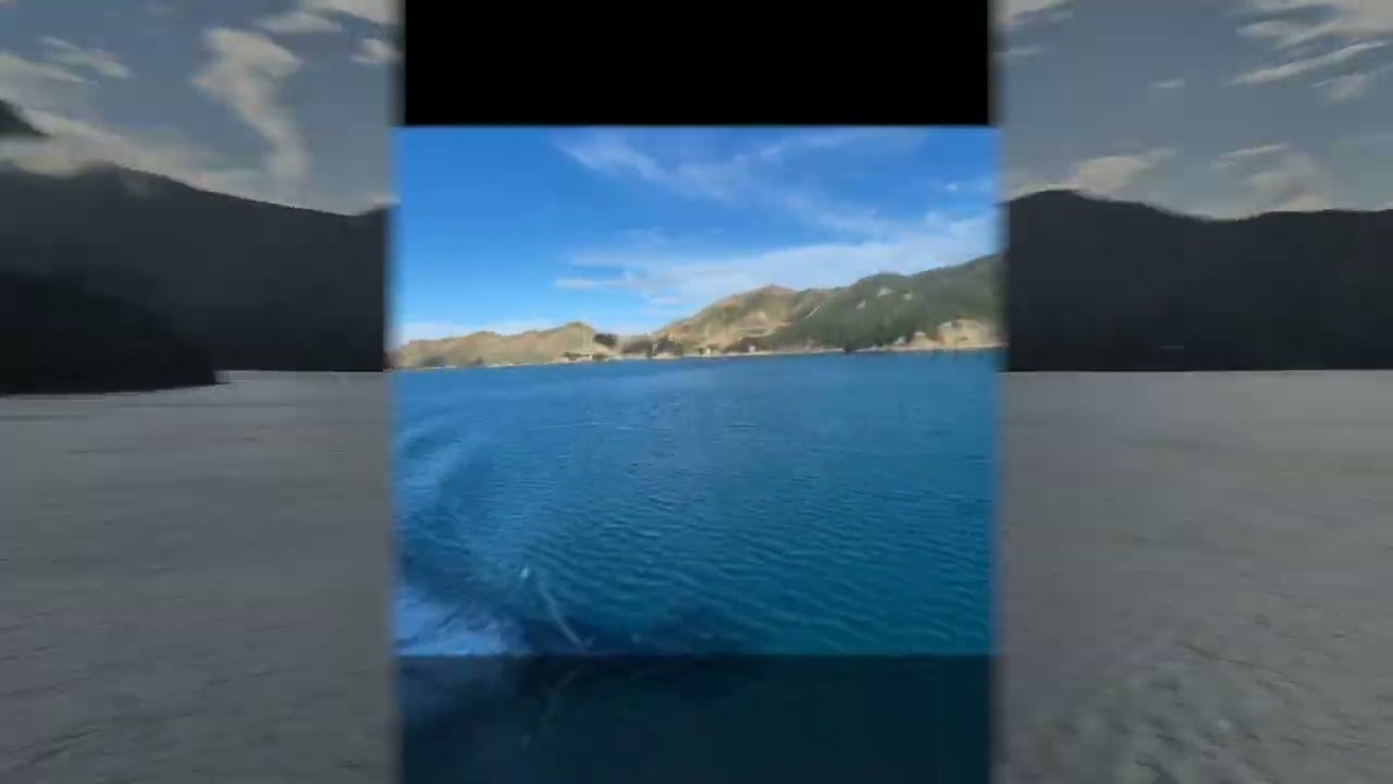 Wellington to Picton Ferry