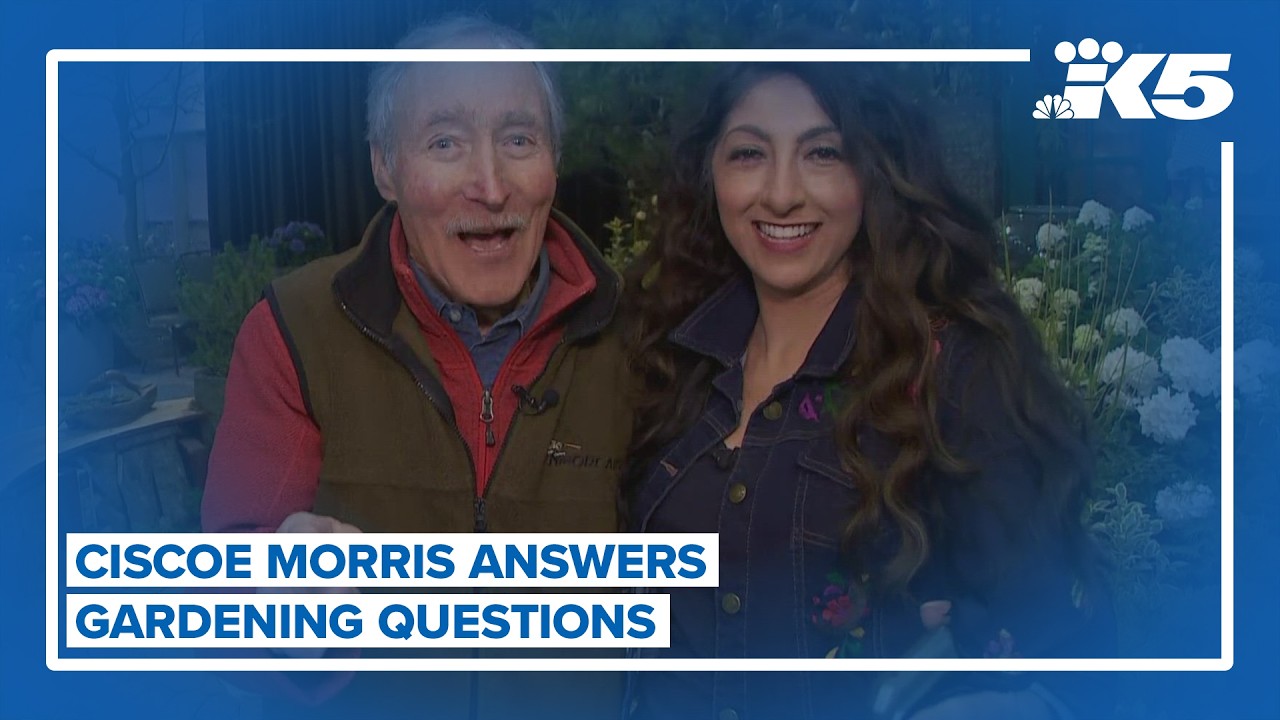 Gardening guru Ciscoe Morris answers viewer questions