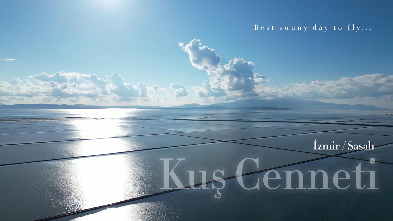 Dji Mini 3 Pro Drone - Kuş cenneti / Sasalı. Cinematic
