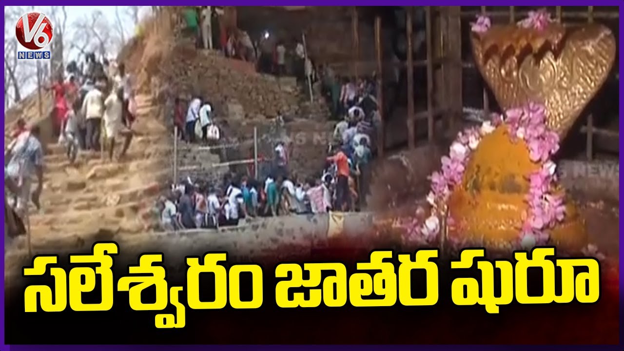 Saleshwaram Lingamaiah Swamy Jathara Begins In Nallamala Forest | V6 News