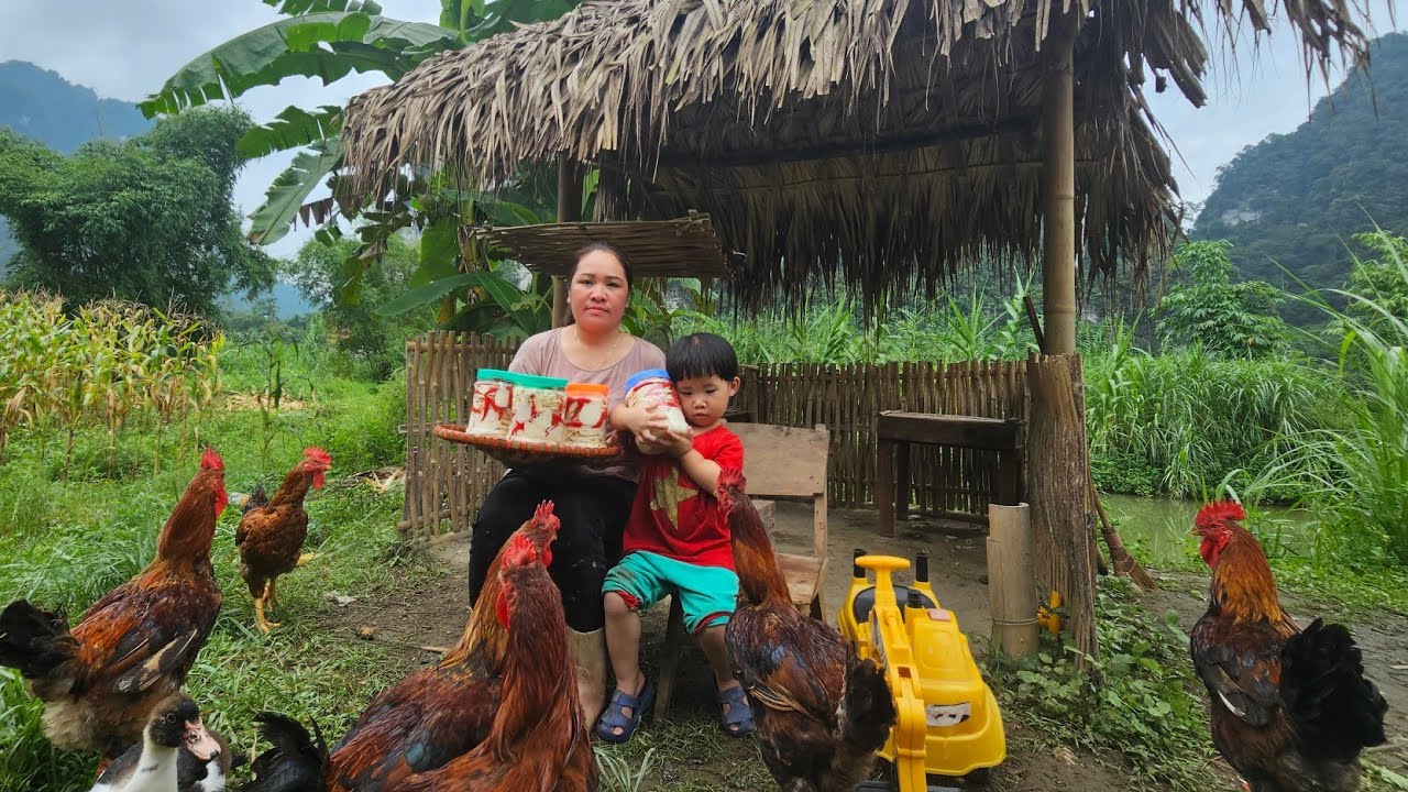 Harvest bamboo shoots to sell at the market. How to make chili bamboo shoots