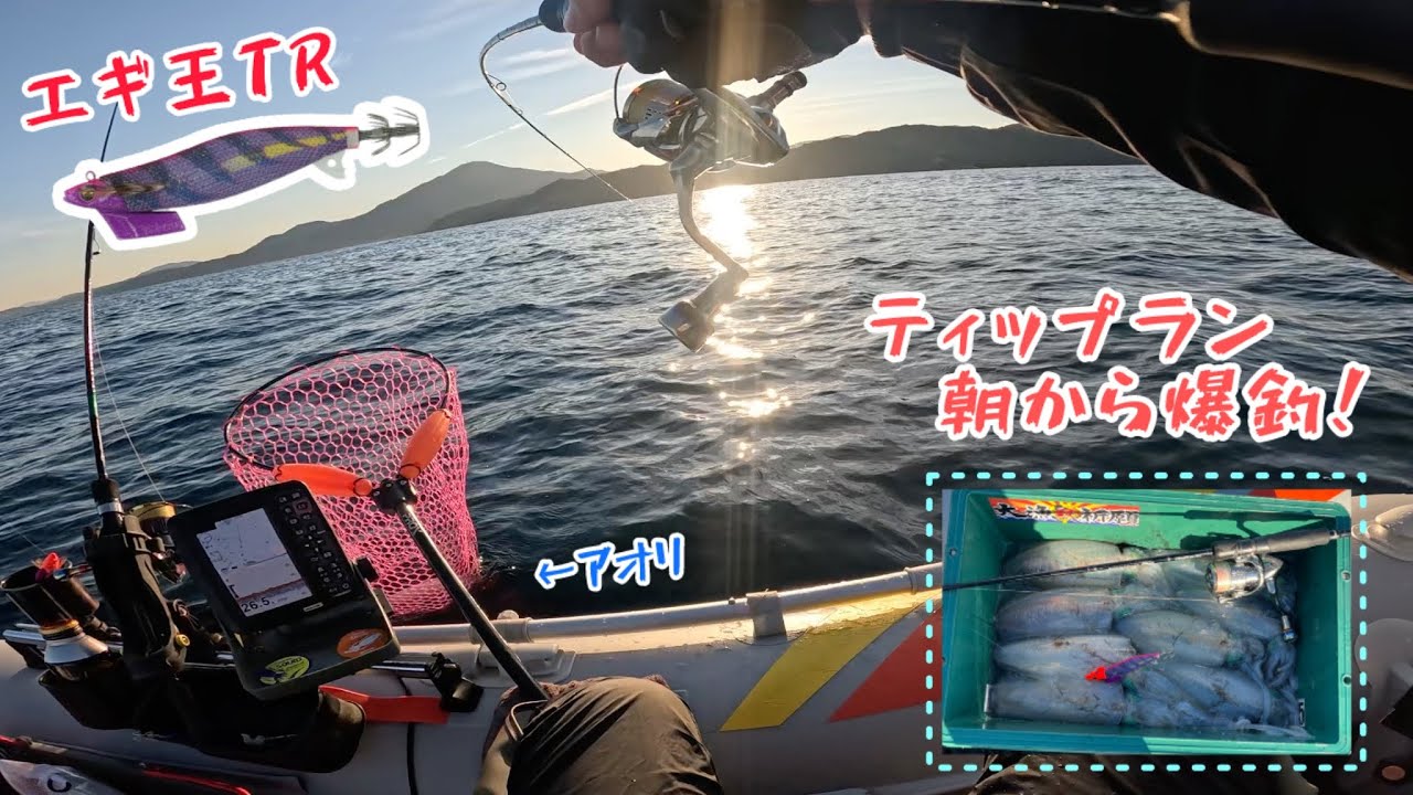 秋イカ終盤戦！ティップランエギングで良型続々！2馬力ゴムボート釣行録！！