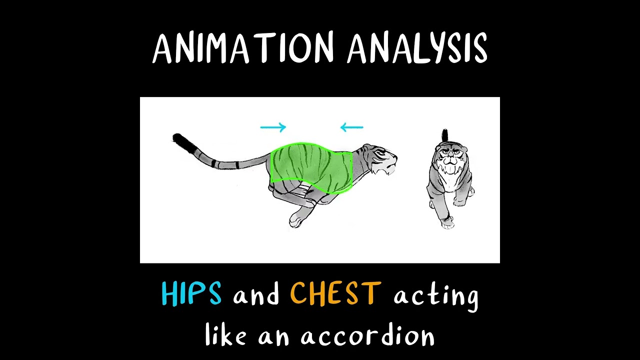 2D Tiger Run (Tamerlan Bekmurzayev)  | ANIMATION ANALYSIS