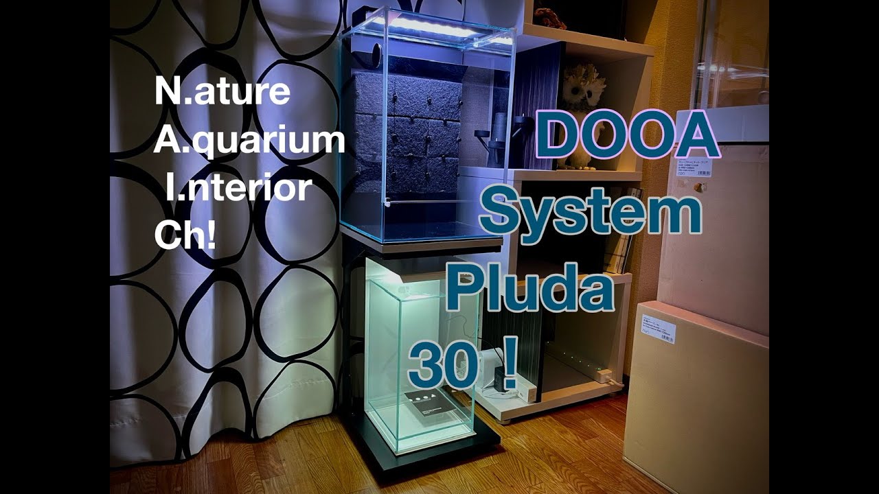 DOOA SYSTEM PLUDA 30 SET UP! #パルダリウム