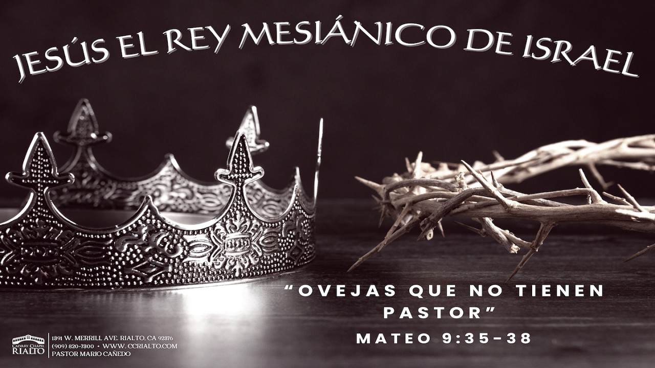 Ovejas Que No Tienen Pastor - Mateo 9:35-38