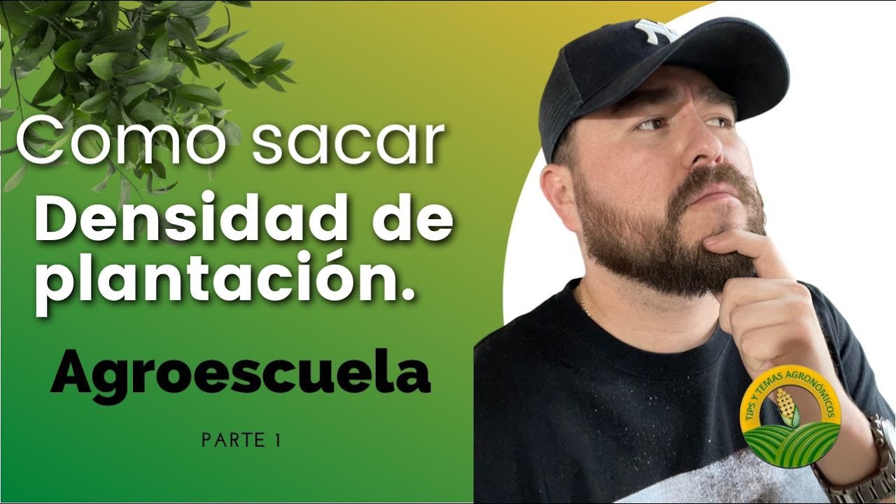 ¿Cómo sacar la densidad de plantación? Ejemplo maíz 🌱🍎🍅🌶