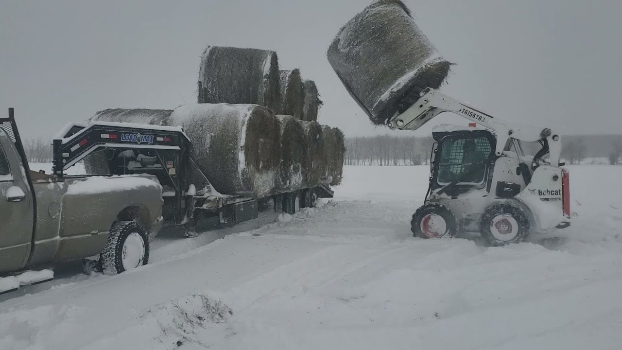 Winter Snowstorm...Hauling bales and Feeding Cows!!!