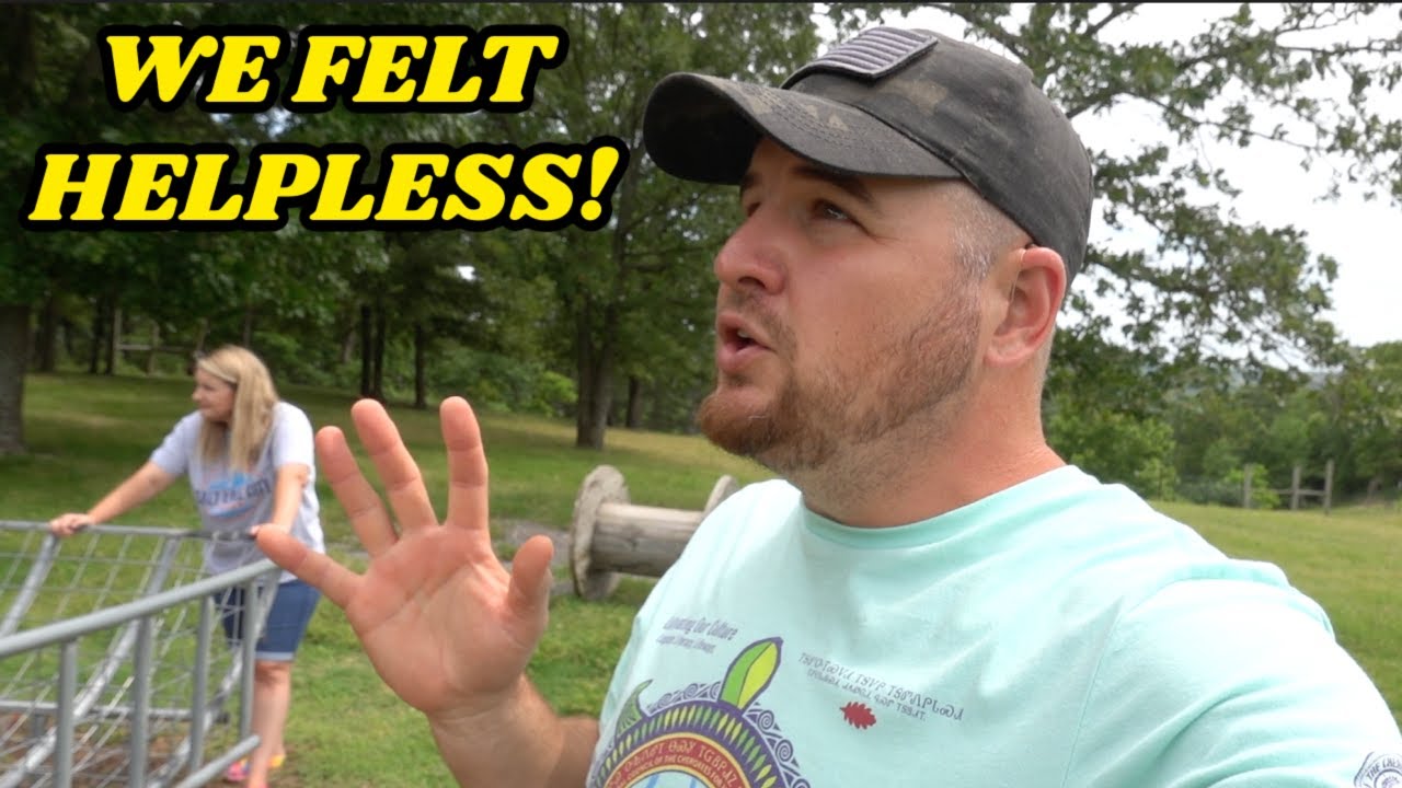 Animal Attack Happened Right In Front Of Us! Its Never Easy Losing A Farm Animal