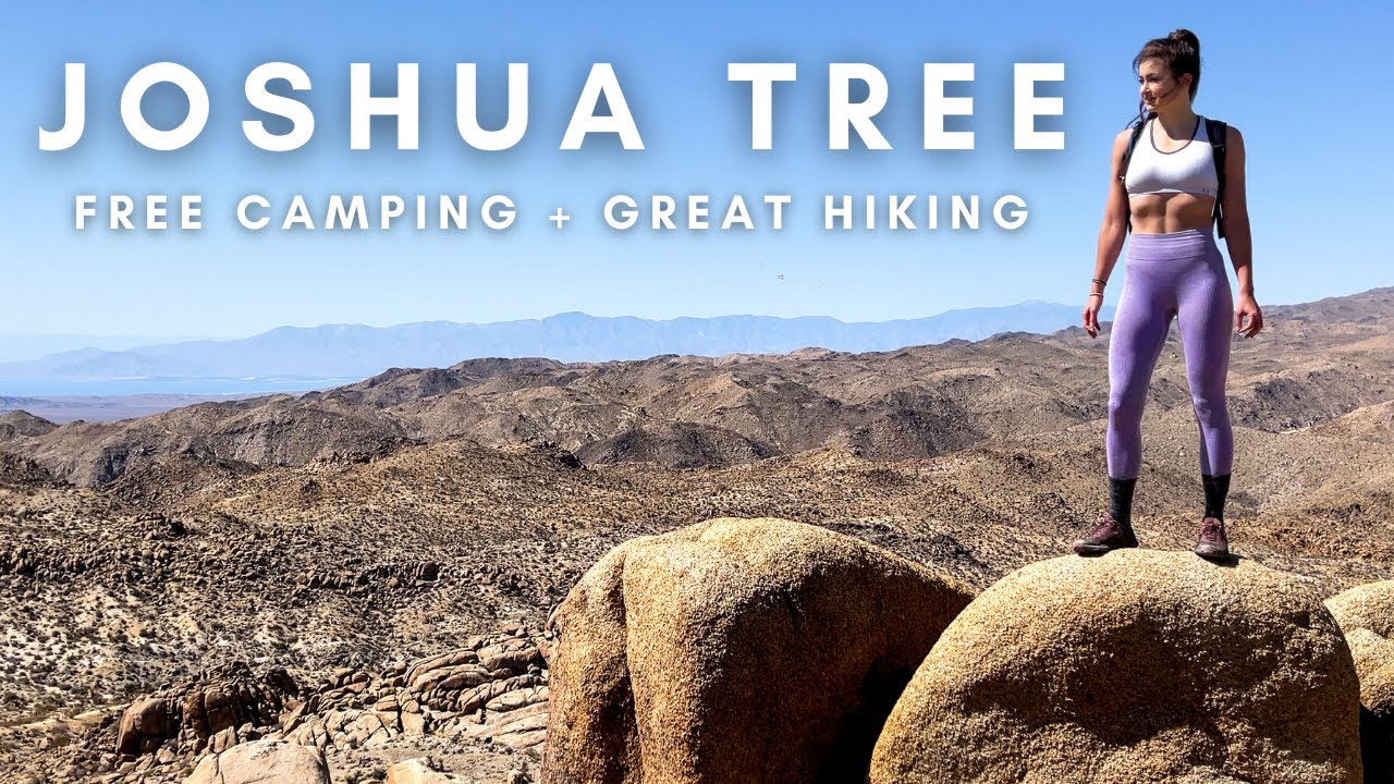 The Perfect Joshua Tree Car Camping Adventure (Free + No Permit!) + Lost Palms Oasis Trail Hike