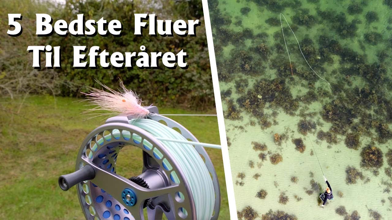 Hav&oslash;rredfiskeri: DE 5 BEDSTE FLUER TIL EFTER&Aring;RSFISKERIET P&Aring; KYSTEN!