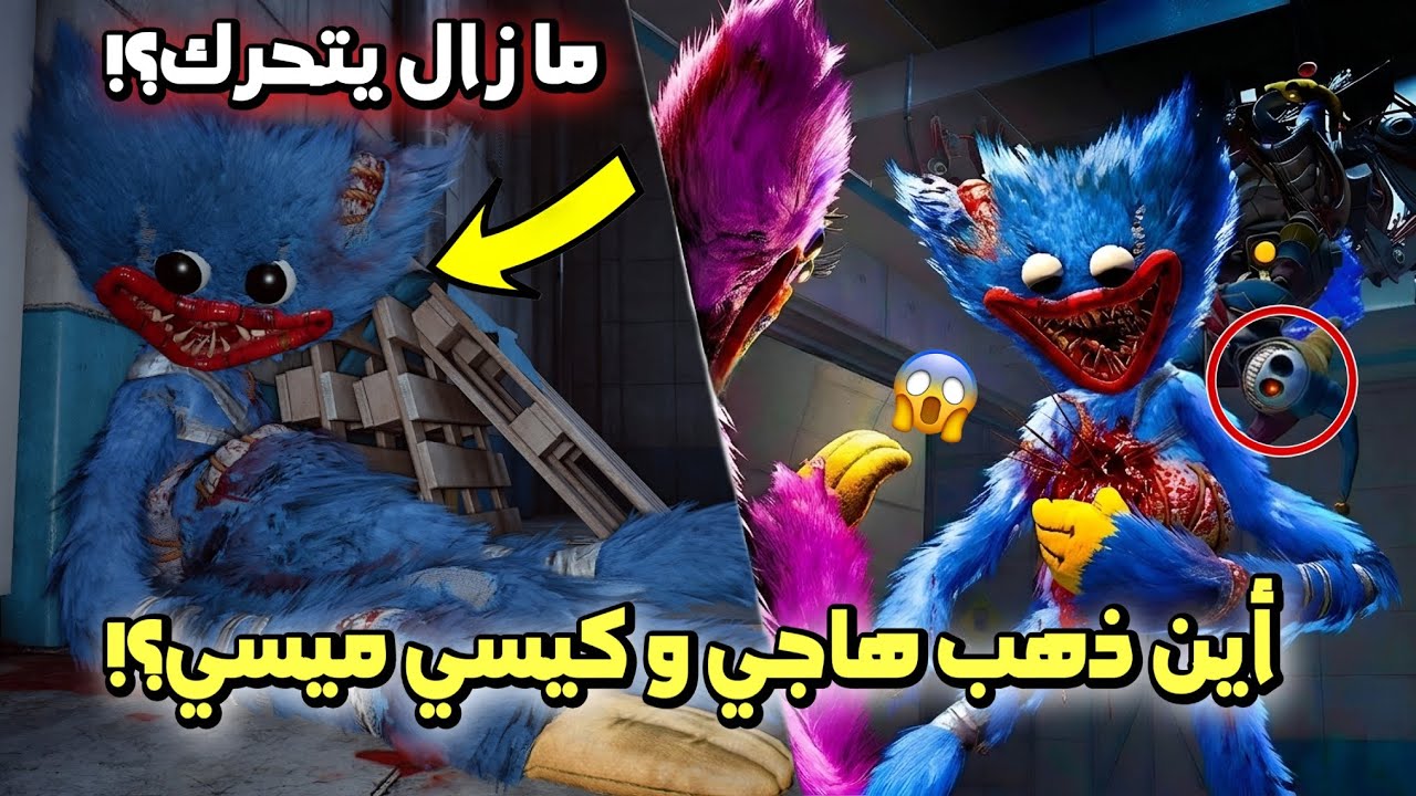 هل سيعود هاجي واجي و كيسي ميسي في الشابتر السادس؟! | على قيد الحياة؟!😱 | poppy playtime 5