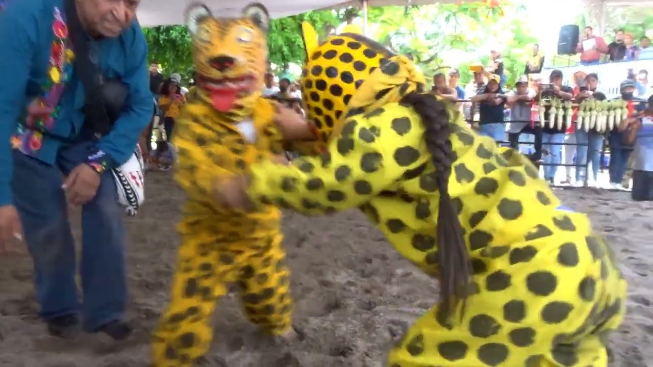 Torneo de Porrazo de tigres San Antonio 2022. Parte 1